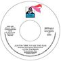 Leon Thomas (Jazz Singer): Just In Time To See The Sun, Single 7"