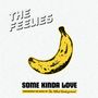 The Feelies: Some Kinda Love: The Music Of The Velvet Underground, 2 LPs