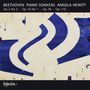 "BEETHOVEN PIANO SONATAS ANGELA HEWITT Op 2 No 2 - Op 10 No 1 - Op 78 - Op 110." Abstraktes Design in Blau und Weiß.
