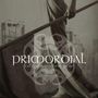 Primordial: To The Nameless Dead - Limited Edition, 2 LPs