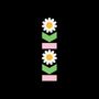 Keine Texte erkennbar. Zwei stilisierte Gänseblümchen übereinander mit grünen Blättern und rosa Balken auf schwarzem Hintergrund., CD