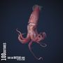 "100 guitares sur un bateau ivre by Gilles Laval." Ein detaillierter Tintenfisch vor dunklem Hintergrund., CD