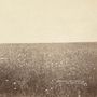 The Milk Carton Kids: The Ash & Clay, 1 LP und 1 CD, 1 LP und 1 CD