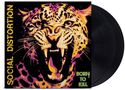 "Social Distortion" links, "Born to Kill" rechts. Illustration eines brüllenden Leoparden in lebhaften Farben. Schallplatte sichtbar., 2 LPs