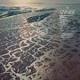 Oben rechts Titel "SHORE". Darunter Songliste u.a. "WADING IN WAIST-HIGH WATER". Luftaufnahme von verzweigten Wassersystemen., CD