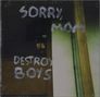 Texte: "SORRY, MOM" oben, "DESTROY BOYS" unten. Düstere, unscharfe Szene mit Fenster und reflexionsähnlichen Lichtern., CD