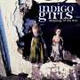 Indigo Girls: Shaming Of The Sun, CD