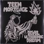 Teen Mortgage: Devil Ultrasonic Dream, LP, LP