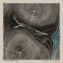 Needtobreathe: Rivers In The Wasteland, LP