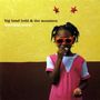 Big Head Todd & The Monsters: Beautiful World, CD