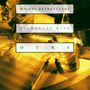 Michel Petrucciani: Promenade With Duke, CD