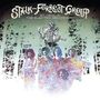 „Stalk-Forrest Group“, „St. Cecilia: The Elektra Recordings“. Illustration eines Waldes mit bunt gemusterten Figuren., 2 LPs