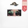 "The Doobie Brothers" oben, "Takin’ it to the Streets" darunter. Ein Gesicht mit Sonnenbrille; Gebäude spiegeln sich., LP