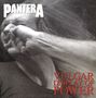 Pantera: Vulgar Display Of Power (180g), LP