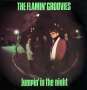The Flamin' Groovies: Jumpin' In The Night, CD