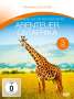 : Abenteuer Ostafrika (Fernweh Collection), DVD,DVD,DVD