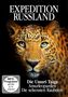 : Expedition Russland: Die Assuri Taiga - Amurleoparden: Die seltensten Raubtiere, DVD