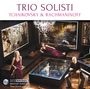 Peter Iljitsch Tschaikowsky (1840-1893): Klaviertrio op.50, 2 CDs, 2 CDs