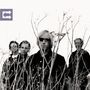 Tom Petty: Echo, CD