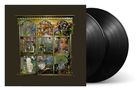 Ein kunstvolles Regal mit verschiedenen Objekten, wie Instrumenten, Pflanzen und Statuen. Daneben zwei schwarze Vinyl-Schallplatten.