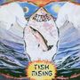 Steve Hillage: Fish Rising, CD