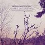 Lee Bains III & The Glory Fires: There Is A Bomb In Gilead, LP, LP