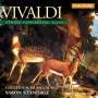Antonio Vivaldi: Concerti für Streicher Vol.2, CD