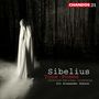 Jean Sibelius: Orchesterwerke, CD,CD