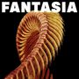 Text: "FANTASIA". Darstellung einer spiralförmigen, texturierten Struktur in Orange- und Brauntönen auf schwarzem Hintergrund., CD
