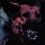 Protomartyr: Under Color Of Official Right, LP