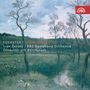 Josef Bohuslav Foerster (1859-1951): Violinkonzerte Nr.1 & 2, CD