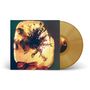 Goldene Schallplatte mit einem Cover, das Hände zeigt, die einen leuchtenden, pflanzengefüllten Eisblock halten., LP