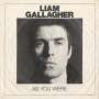 Liam Gallagher: As You Were, LP