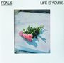 Texte: "FOALS", "LIFE IS YOURS". Ein Strauß rosa Rosen liegt auf einer glatten, hellen Oberfläche., 2 LPs