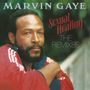 Marvin Gaye: Sexual Healing - The Remixes (Limited Edition) (Red Smoke Vinyl), MAX