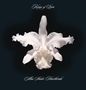 Kings Of Leon: Aha Shake Heartbreak (Limited Edition) (Clear Vinyl), LP,LP