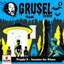 Gruselserie 04. Projekt X - Invasion der Aliens (180g), LP, LP