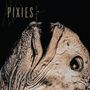 Text: "PIXIES COMPLETE B SIDES". Gezeigt ist eine Nahaufnahme eines Elefantenkopfes mit markanten Falten., 2 CDs