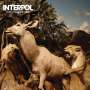 Interpol: Our Love To Admire, 2 LPs