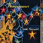 Pavement: Terror Twilight Farewell Horizontal (remastered), LP