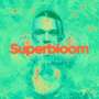 Ashton Irwin: Superbloom (Coke Bottle Clear Vinyl), LP