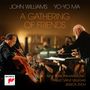 Yo-Yo Ma & John Williams - A Gathering of Friends (180g), 2 LPs