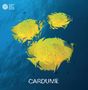 Cardume: Cardume, CD, CD