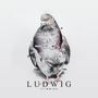 Stimming: Ludwig, 2 LPs, 2 LPs