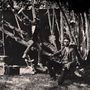 Matthis Pascaud & Hugh Coltman: Night Trippin', LP, LP