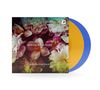 : Martin Stadtfeld - Baroque Colours (180g), LP,LP