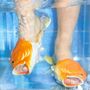 Brockhoff: Sharks, MAX