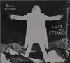 "David Gilmour" oben links, "Luck and Strange" rechts. Silhouette einer Person mit ausgestreckten Armen im Vordergrund., CD