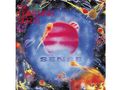 The Lightning Seeds: Sense (Black Vinyl), LP