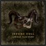 Jethro Tull: Curious Ruminant, CD